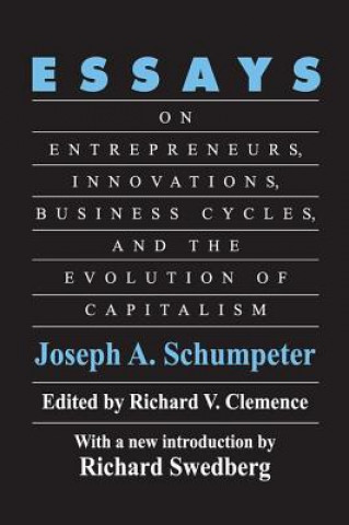 Buch Essays SCHUMPETER