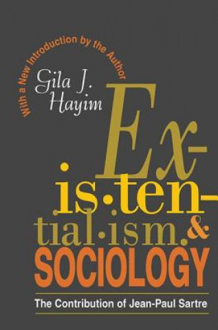 Knjiga Existentialism and Sociology 