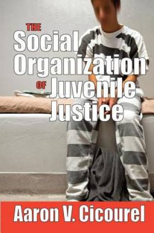 Kniha Social Organization of Juvenile Justice Aaron Cicourel