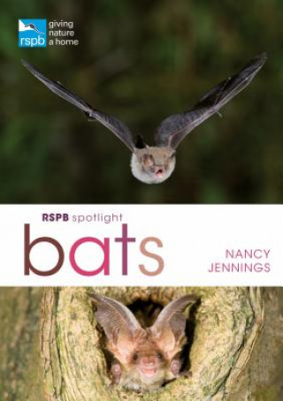 Knjiga RSPB Spotlight Bats JENNINGS NANCY