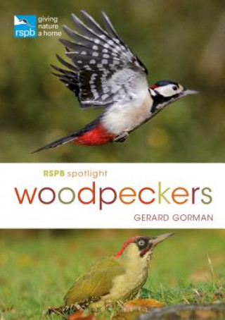Carte RSPB Spotlight Woodpeckers GORMAN GERARD