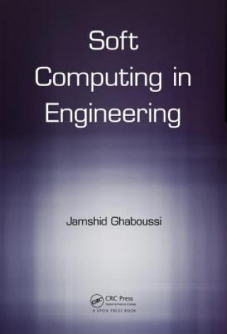 Knjiga Soft Computing in Engineering Ghaboussi