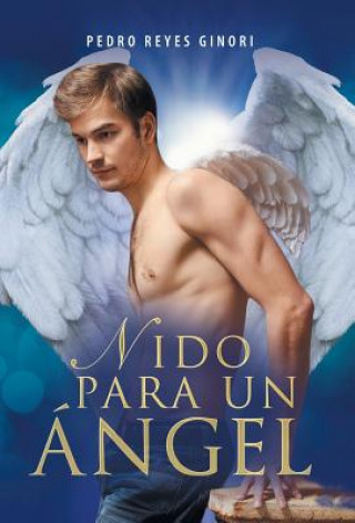 Kniha Nido para un angel PEDRO REYES GINORI