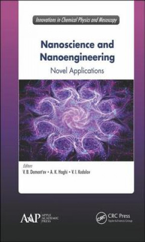 Könyv Nanoscience and Nanoengineering 
