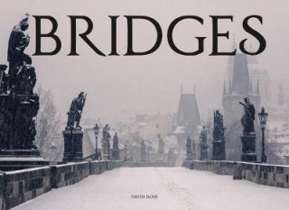 Könyv Bridges David Ross