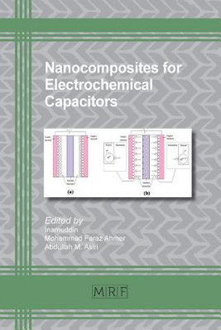 Könyv Nanocomposites for Electrochemical Capacitors INAMUDDIN