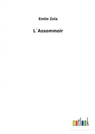 Carte LAssommoir Emile Zola