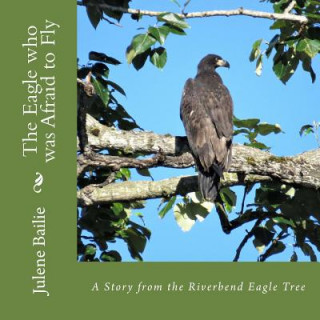 Kniha The Eagle who was Afraid to Fly Julene Bailie