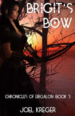 Kniha Brigit's Bow: Chronicles of Eirgalon: Book 3 Joel Kreger