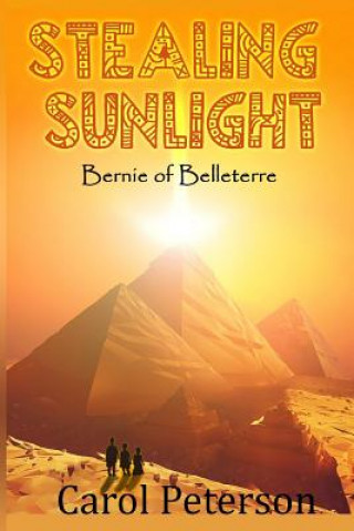 Libro Stealing Sunlight Carol Peterson
