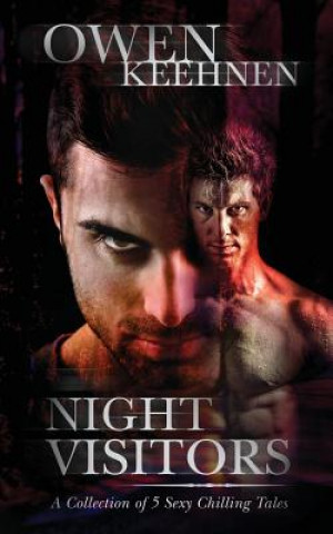 Kniha Night Visitors Owen Keehnen
