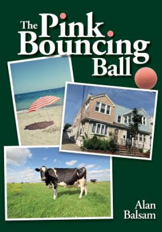 Kniha The Pink Bouncing Ball Alan Balsam