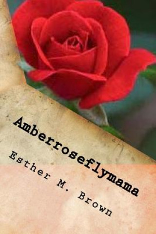 Kniha Amberroseflymama Esther M Brown