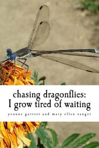 Kniha chasing dragonflies: I grow tired of waiting Yvonne Garrett