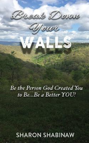 Kniha Break Down Your Walls: Be the Person God Created You to Be...Be a Better You! Sharon L Shabinaw