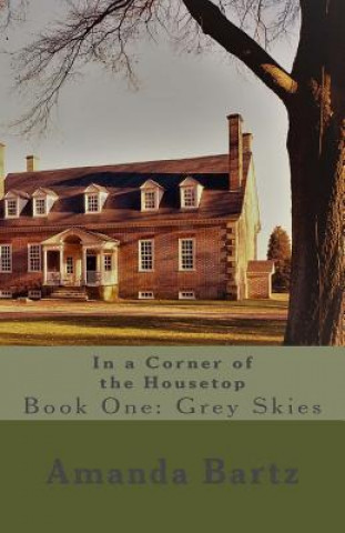 Könyv In a Corner of the Housetop: Book One: Grey Skies Amanda Bartz