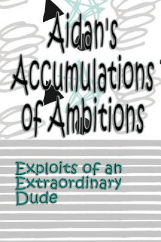 Книга Aidan's Accumulations of Ambitions: Exploits of an Extraordinary Dude Deena Rae Schoenfeldt