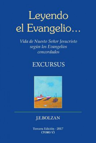 Knjiga Leyendo el Evangelio... (TOMO V): Excursus Juan Enrique Bolzan