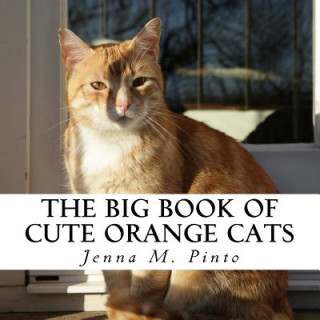 Carte The Big Book of Cute Orange Cats: A text-free book for Seniors and Alzheimer's patients Jenna M Pinto