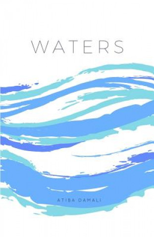 Knjiga Waters Atiba Damali