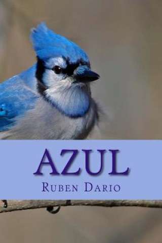 Kniha Azul Ruben Dario
