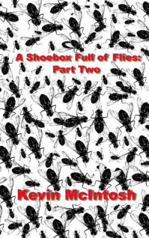 Carte A Shoebox Full Of Flies: Part Two MR Kevin D McIntosh