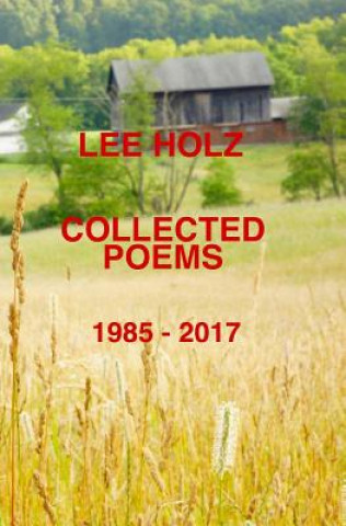 Książka Collected Poems: 1985-2017 Lee Holz