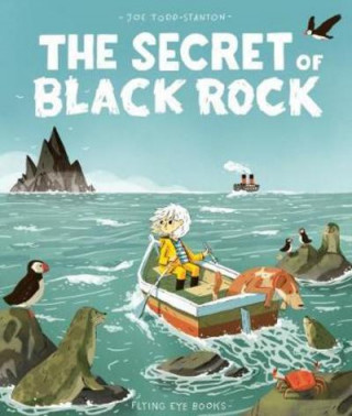 Kniha Secret of Black Rock Joe Todd-Stanton