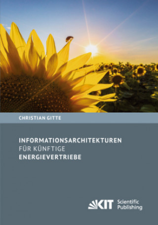 Könyv Informationsarchitekturen für künftige Energievertriebe Christian Gitte