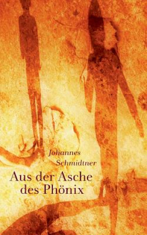 Könyv Aus der Asche des Phoenix Johannes Schmidtner