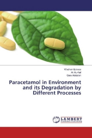 Kniha Paracetamol in Environment and its Degradation by Different Processes Wadhah Edrees