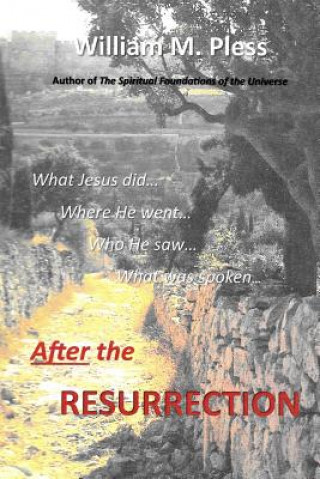 Kniha After the Resurrection: What Jesus did...Where he went...Who he saw...What was spoken... Mr William M Pless