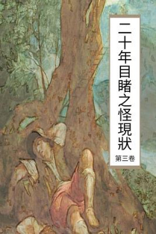 Kniha Over Twenty Years of Strange Phenomenon Vol 3: Chinese International Edition Johnrain Wu
