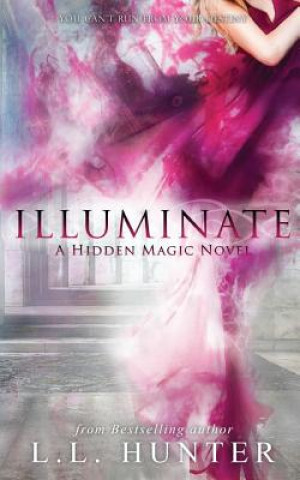 Book Illuminate L L Hunter