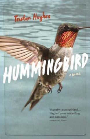 Kniha Hummingbird Tristan Hughes