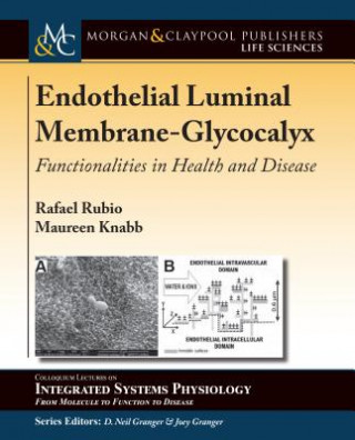 Kniha Endothelial Luminal Membrane-Glycocalyx Rafael Rubio