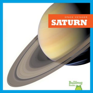 Książka Saturn Vanessa Black