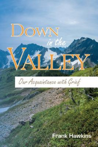 Kniha Down in the Valley: Our Acquaintance with Grief Frank Hawkins