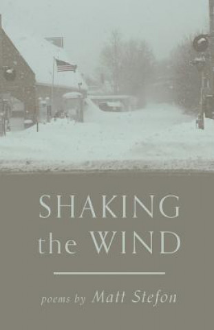 Knjiga Shaking the Wind Matt Stefon