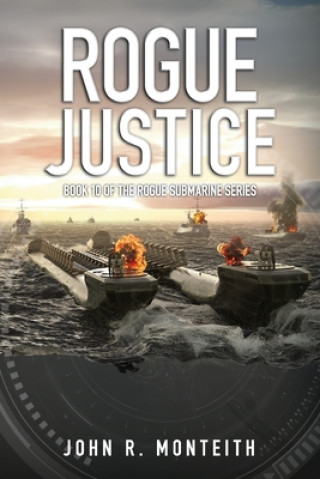 Buch Rogue Justice John R Monteith