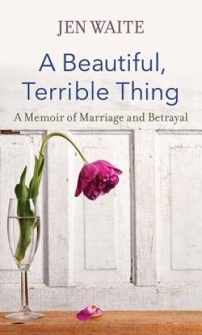 Βιβλίο A Beautiful, Terrible Thing Jen Waite