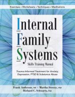 Könyv Internal Family Systems Skills Training Manual Frank G Anderson