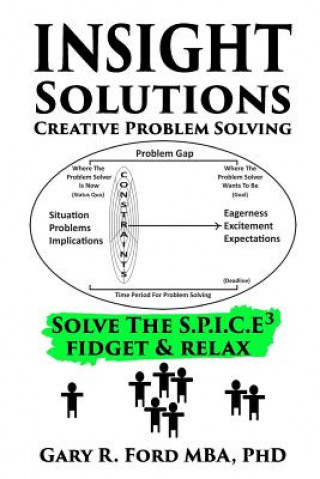 Buch Insight Solutions: Creative Problem Solving Gary R Ford Phd