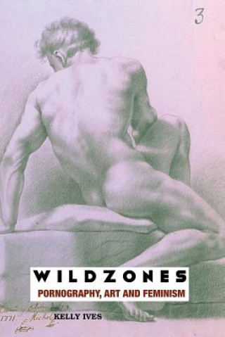 Könyv Wild Zones: Pornography, Art and Feminism Kelly Ives