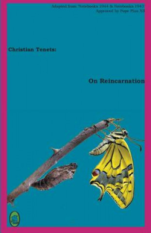 Libro On Reincarnation Lamb Books