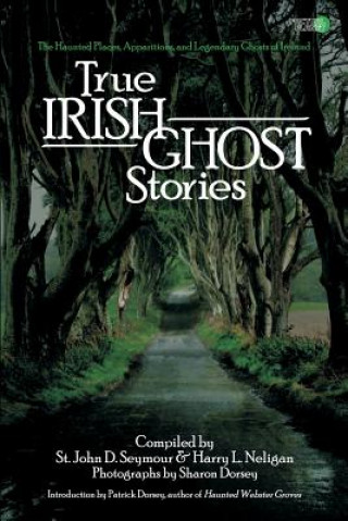 Книга True Irish Ghost Stories: The Haunted Places, Apparitions, and Legendary Ghosts of Ireland St John D Seymour