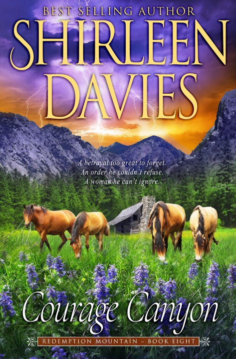 Buch Courage Canyon Shirleen Davies