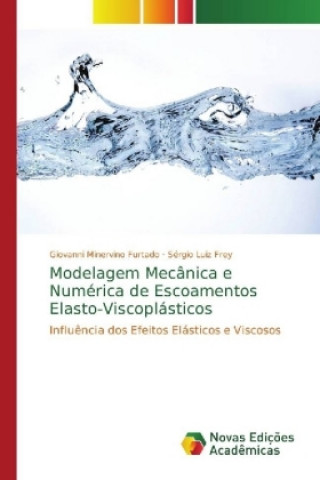 Książka Modelagem Mecanica e Numerica de Escoamentos Elasto-Viscoplasticos Giovanni Minervino Furtado