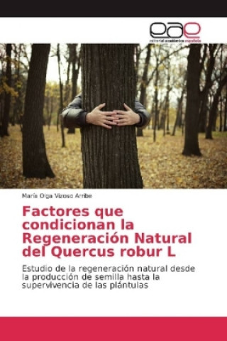 Könyv Factores que condicionan la Regeneracion Natural del Quercus robur L María Olga Vizoso Arribe