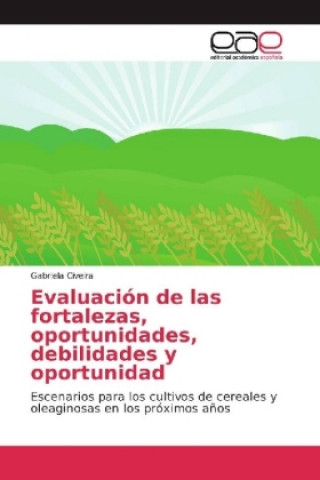 Βιβλίο Evaluacion de las fortalezas, oportunidades, debilidades y oportunidad Gabriela Civeira